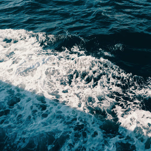 大尺牍韩剧在线观看免费无马赛克电影
